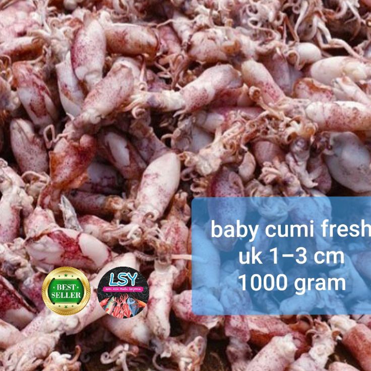 

TEBUS MURAH ✅ ikan asin baby cumi / cumi asin / cumi rebus 78 berat 1kg