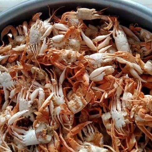 

Diskon Bulan Ini Baby Crab Frozen 1Kg
