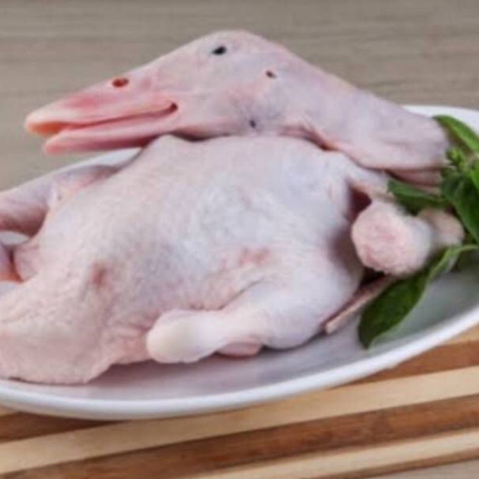 Terlaris Bebek Potong Segar/Bebek Potong Size Besar Potong Utuh