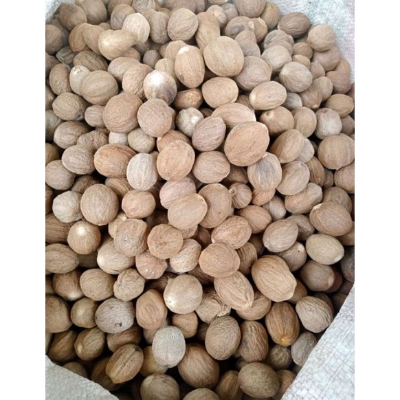 

Laris.. Biji pala bulat super kupas 1kg FVK