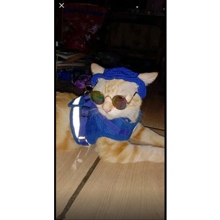 JQVQ9081㊍ TOPI KUCING/BUCKET HAT CROCHET/TOPI KUCING PORORO/TOPI KUCING RAJUT/TOPI ANJING/TOPI ANJIN