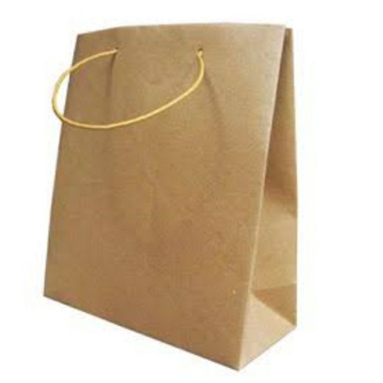 

5.5 Brand PAPER BAG POLOS KRAFT UK 27 * 9 * 34 ISI 20 PCS