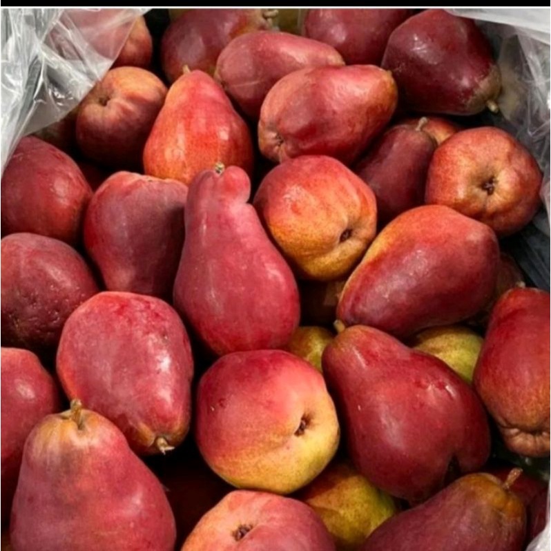 

Pear Red Angel ±900