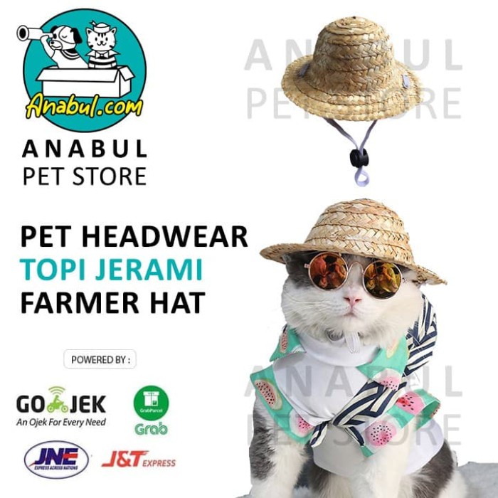 Bestseller Kostum Topi Jerami Kucing Anjing / Wooden Hat / Topi Pantai Kucing