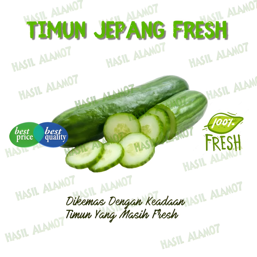 

Timun Mentimun Jepang Cucumber Segar Fresh Harga 1 Kg Kyuri