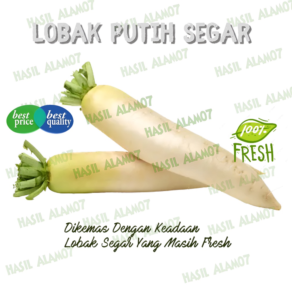 

Sayur Lobak Segar Fresh 500 Gram