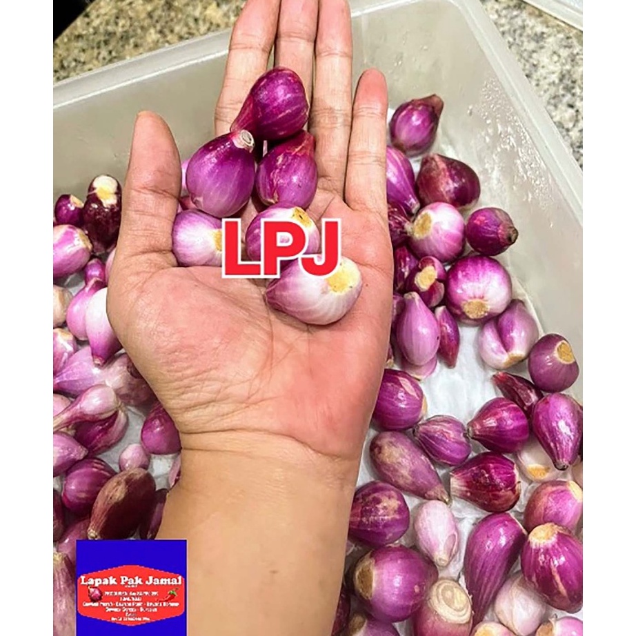 

Ready⋆ 6CACF Bawang MERAH KUPAS - 1 Kg - LPJ P34 ☍Readystock