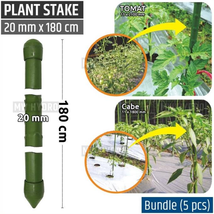 Terbaru 5 Pcs Plant Stake / Ajir Tanaman - Takiron - 20 Mm X 180 Cm