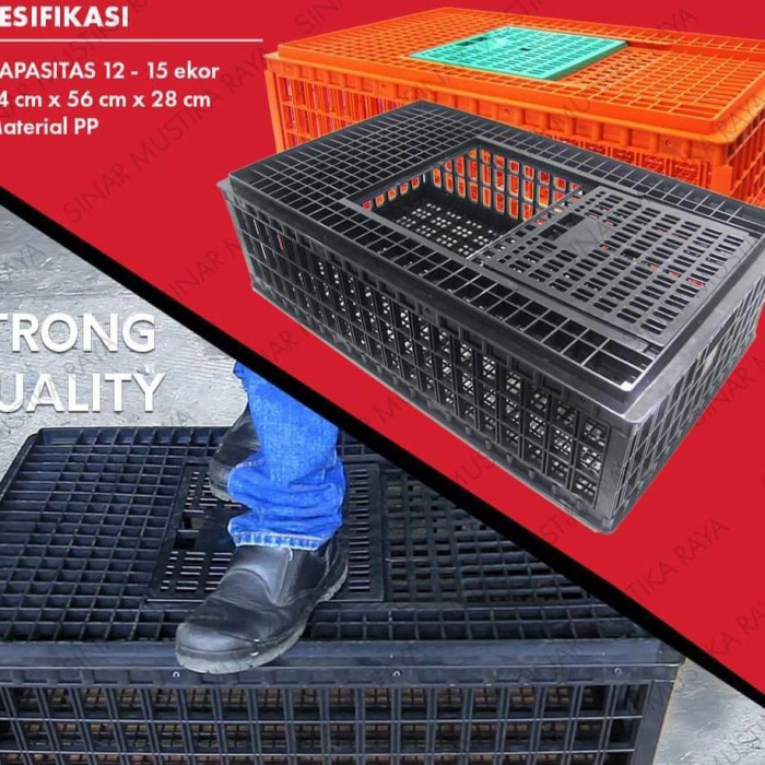 Terlaris Keranjang Ayam Jumbo