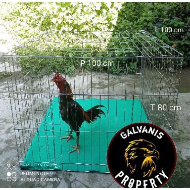 Terlaris Kurungan Tenggaran Umbaran Ayam Jago Bangkok Pakhoy Besi Galvanis Asli