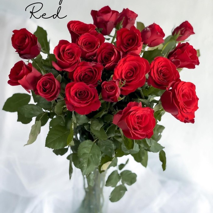 Best Seller Bunga Mawar Semi Holland Grade A Isi 20 Tangkai (Bunga Mawar Bandung)