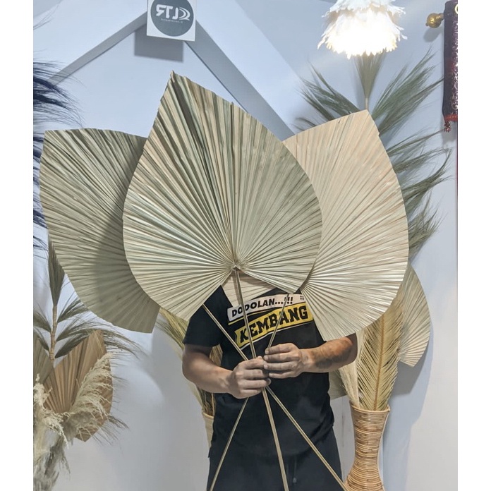 LNHW6254㊪ DAUN PALEM/DAUN PALM KERING/Daun Palem kering/Daun kering JUMBO dekorasi/Palem/Dekorasi/Bu