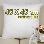 ☌ PAS ONLINE - BANTAL SOFA  45 x 45 ❂ (Promo)