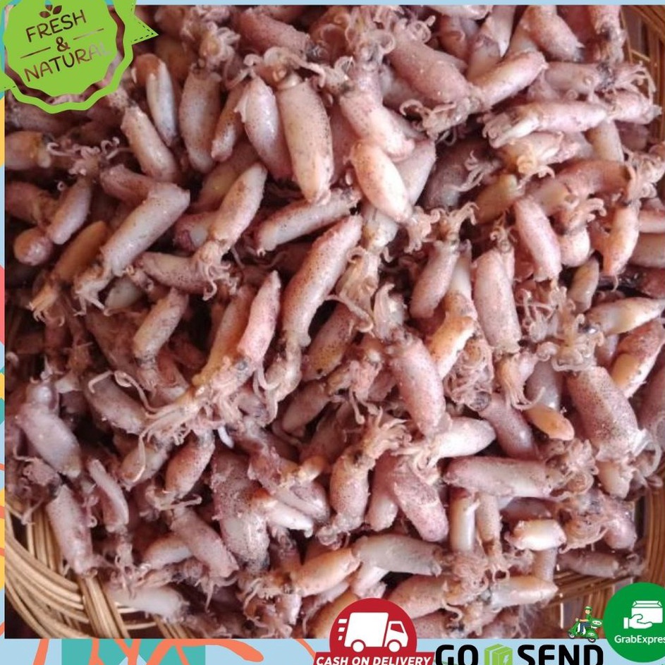 

≼≽ IV 4913 BABY CUMI CUMI KERING ASIN 1 KG 2-4cm FRESH COD✔️ ♞