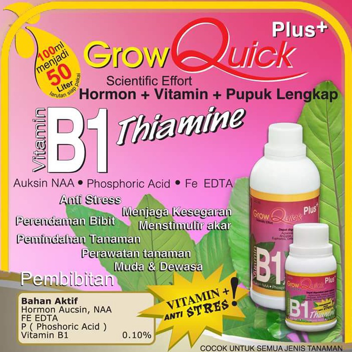 Terlaris.. Grow Quick Vitamin B1 (Thiamine) Plus 500 mL