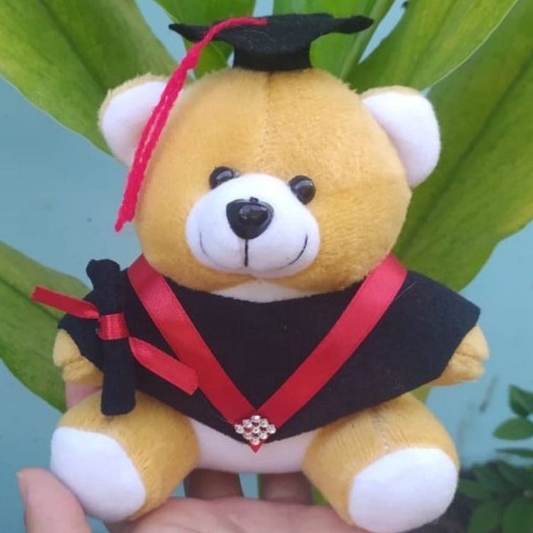 ❂VqU Boneka Wisuda  hiasan bucket/ Boneka wisuda untuk Hampers ⁑ (Kirim Langsung)