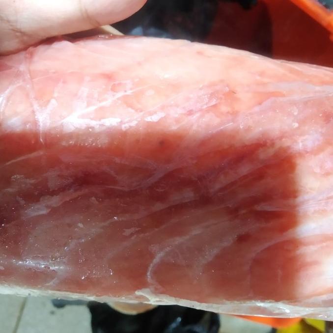 

IKAN TUNA MARLIN FILLET HAMPIR 2KG FRESS