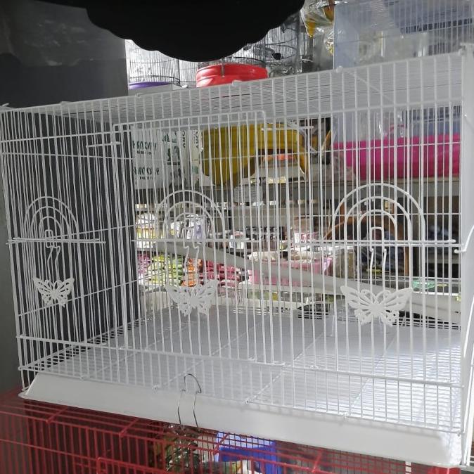 Kandang Ternak Lovebird Besi/Kandang Kotak Besi Merk Boom Free Ongkir Dan Bisa Cod