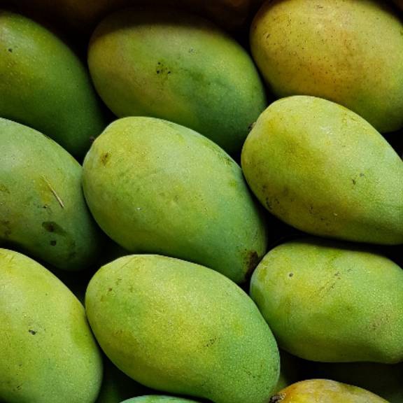 

Stok Banyak Mangga arumanis alpuket