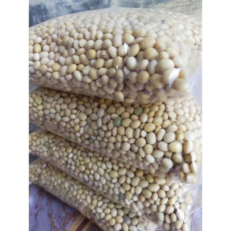 1 kg BENIH KEDELAI SUPER ,BENIH KACANG KEDELAI GROBOGAN SIAP TANAM