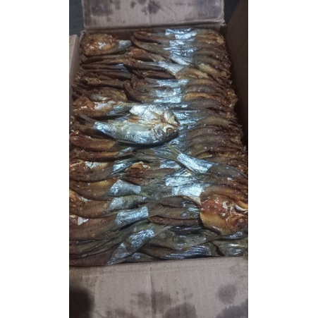 

ikan asin HL ( Ikan asin bader)