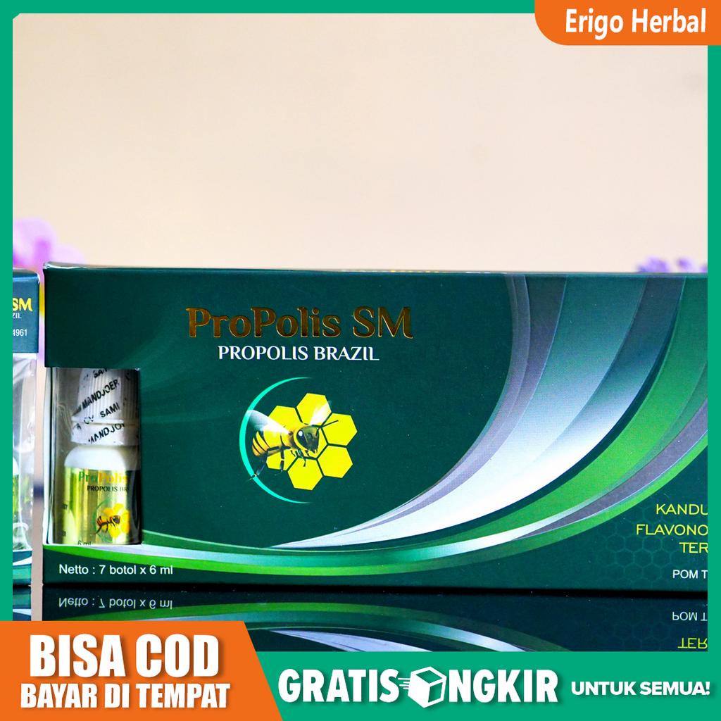 Obat Alergi Gatal Gatal Pada Selangkangan, Leher, Biduran di Wajah, Kepala Propolis SM Di Tangerang