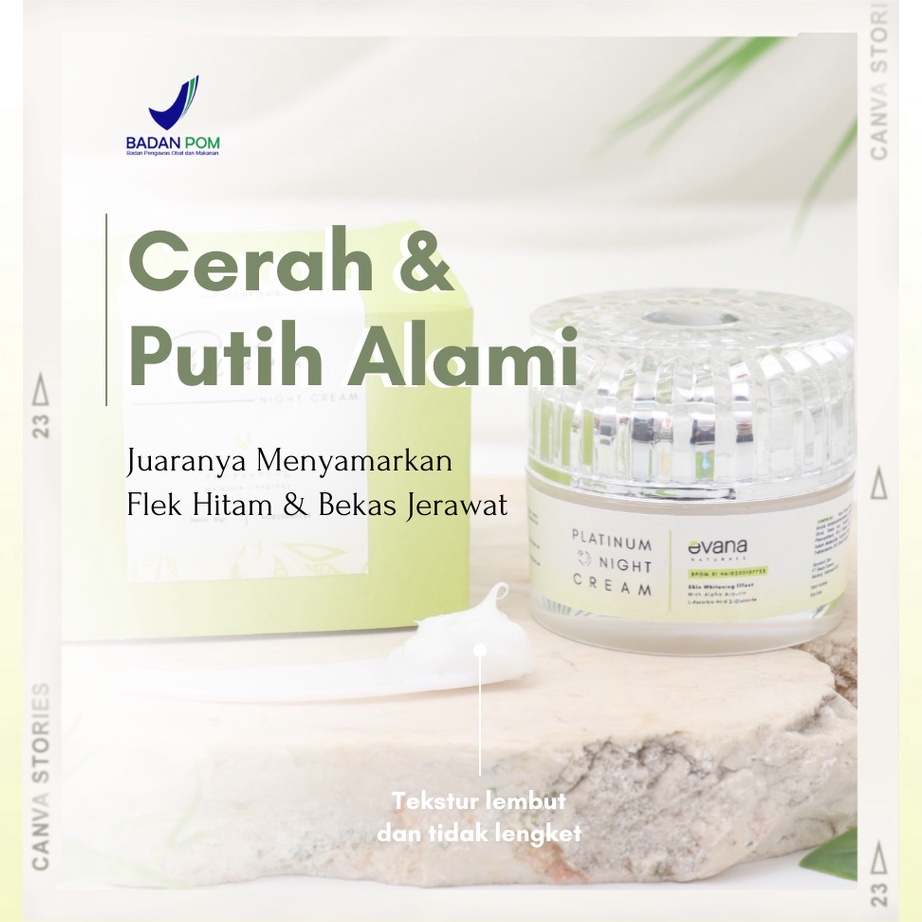 Paradise6.6 Evana Beauty Care - (Wajib Konsul) Night Cream Platinum - Cream Penghilang Flek Hitam Da