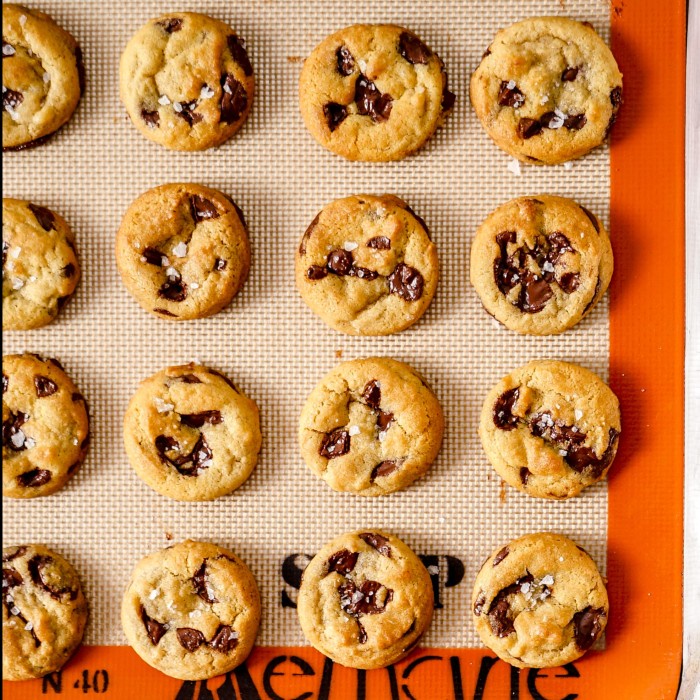 

Murah Endorphins' Mini Chocolate Chip Cookies