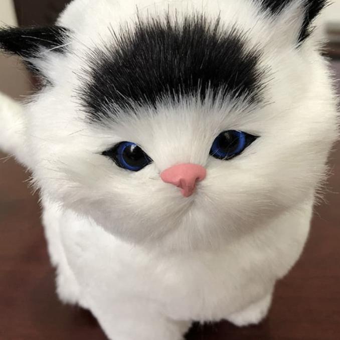 Boneka Kucing Simulasi Pajangan Meja Bersuara Meow Ukuran Besar - 4580