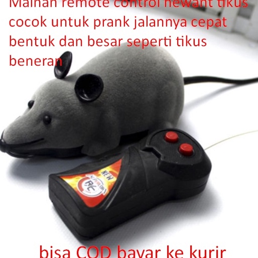➤ Mainan remote control hewant tikus cocok untuk prank jalannya cepat bentuk dan besar seperti tikus