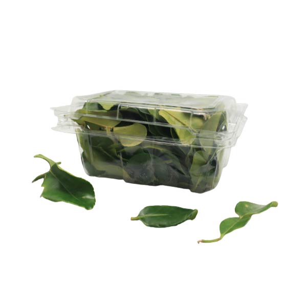 

DAUN JERUK PACK 50 GR