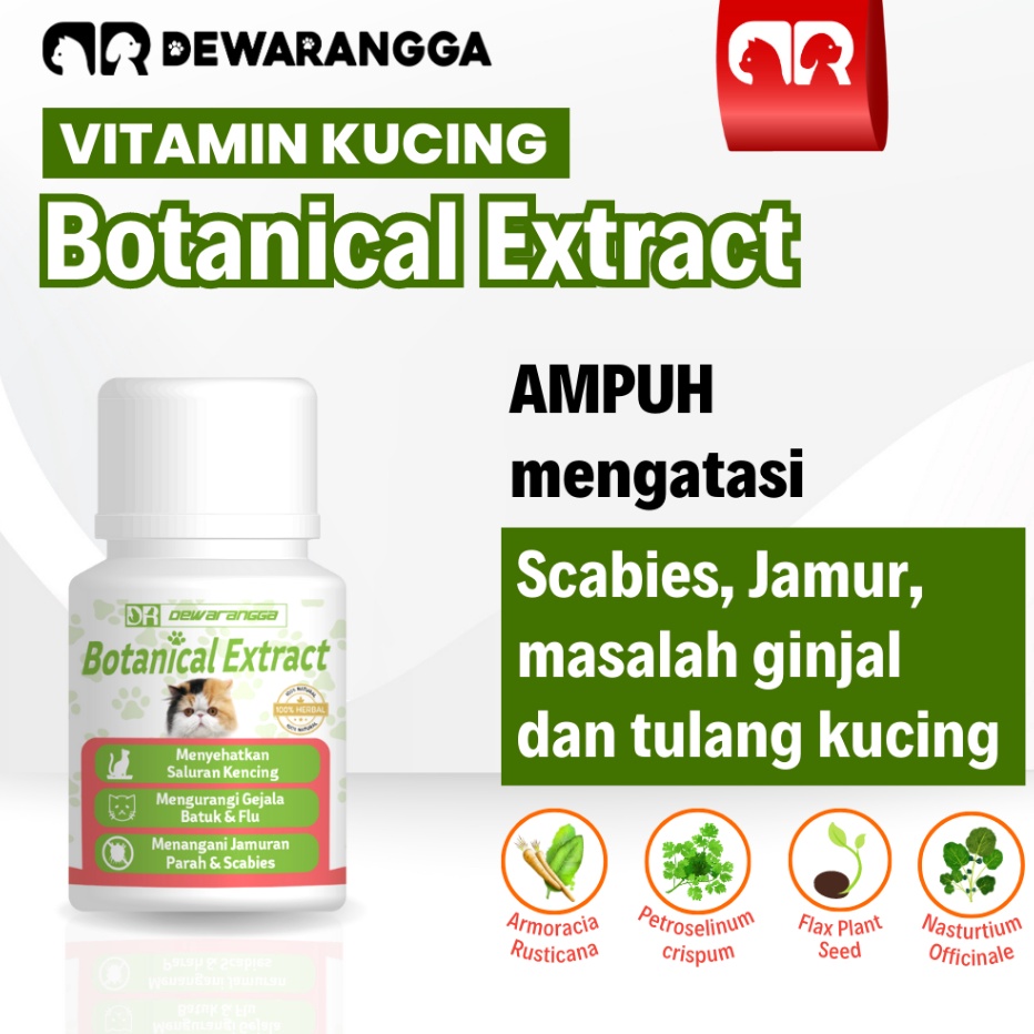 ➟➬✢ Vitamin Kucing Botanical Extract Dewarangga - Obat Scabies Kucing - Obat Jamur Kucing - Obat Jam
