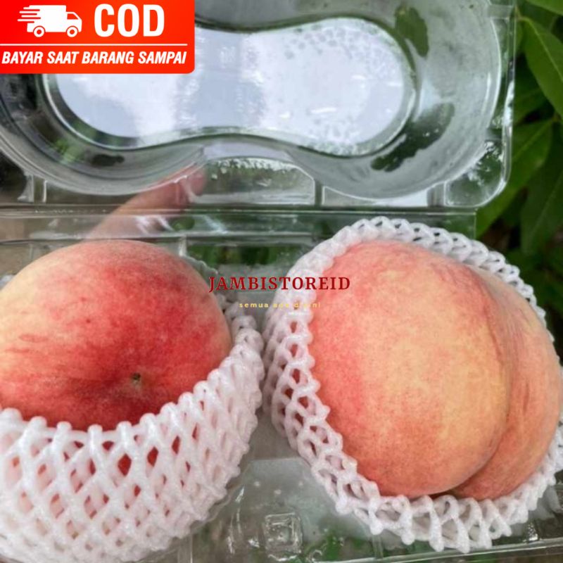 

(JAMBISTOREID) PILIH PENGIRIMAN INSTAN Buah Korean Peach 2pcs Fresh Persik Donat Segar Persimmon Persimon Persimons Import Dari Korea Jambi