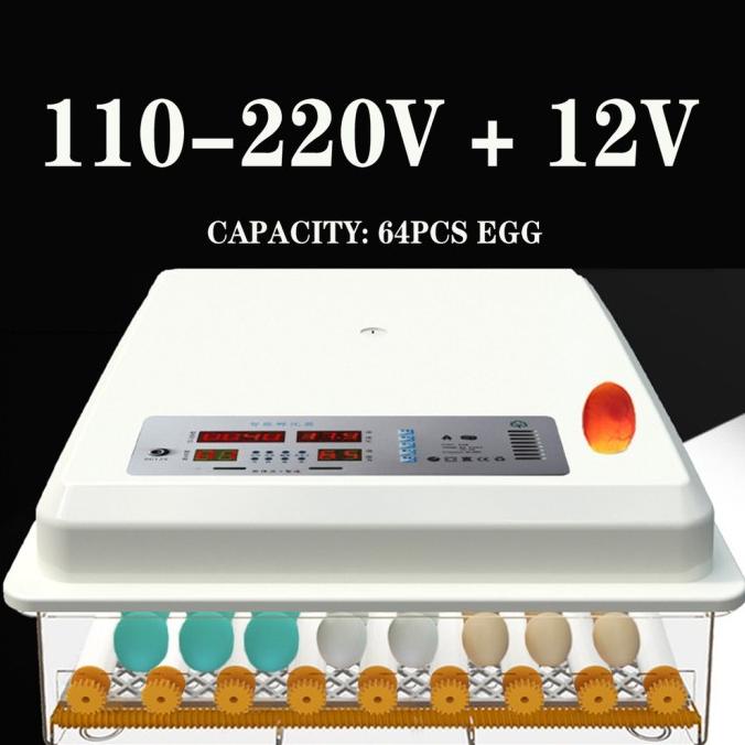Mesin Inkubator Penetas Telur Angsa Puyuh Otomatis 110-220V Warna
