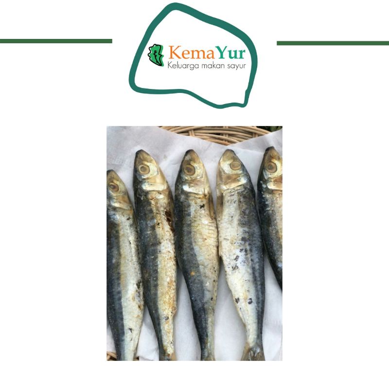 

IKAN PINDANG LAYANG KECIL