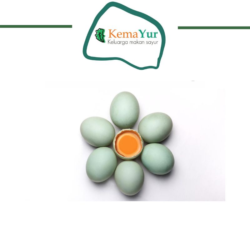 

TELUR BEBEK MENTAH BIJI