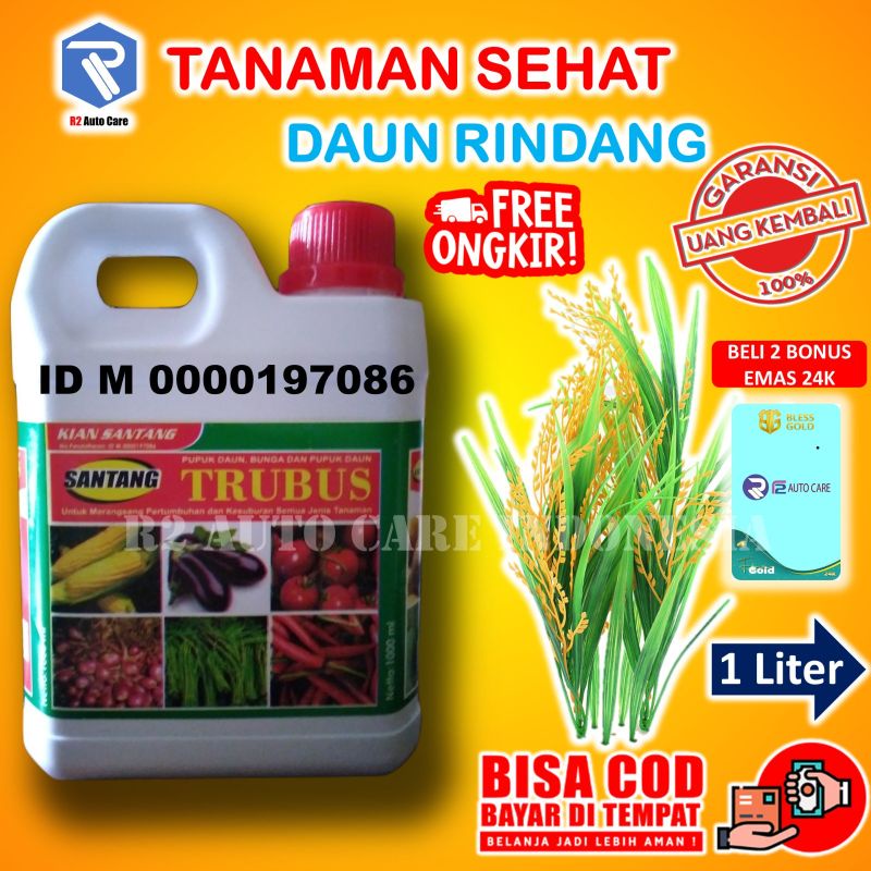 pupuk organik cair tanaman buah hias bibit tumbuhan aglonema  air aquacape ab mix pompa hidroponik