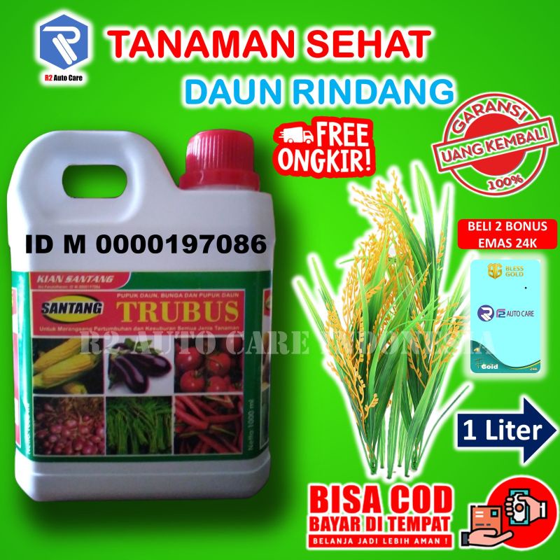Pupuk cair tanaman tumbuhan aquacape perangsang growmore bunga bibit aglonema daun buah hias padi