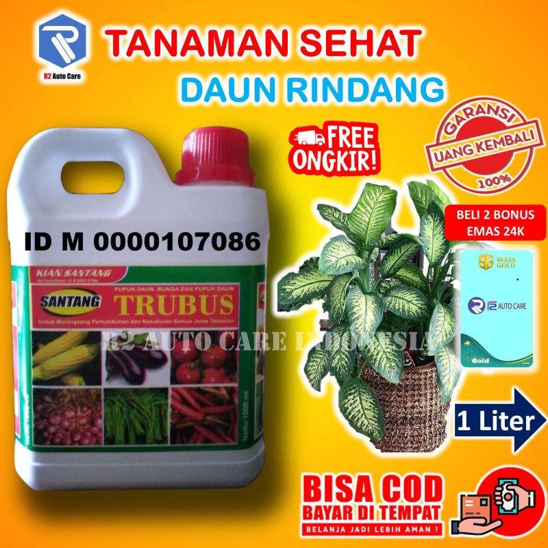 pupuk bunga aglonema murah organik cair npk dasar aquacape tanaman hias growmore murah