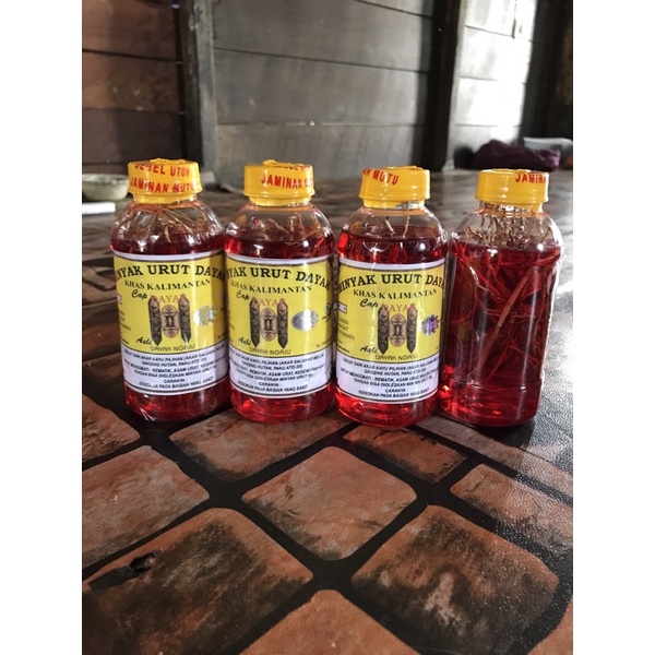 minyak urut dayak ngaju khas kalimantan