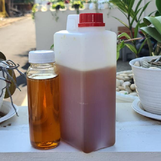 

Madu Randu Curah. Isi Bersih 1kg ORIGINAL