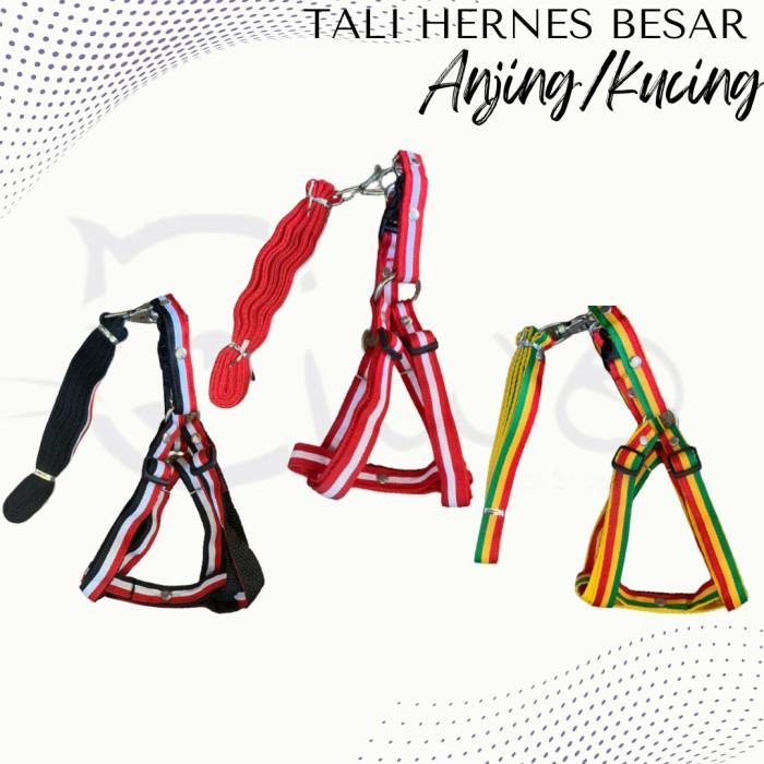 TALI HERNES HARNES ANJING BESAR - TALI TUNTUN ANJING - TALI ANJING