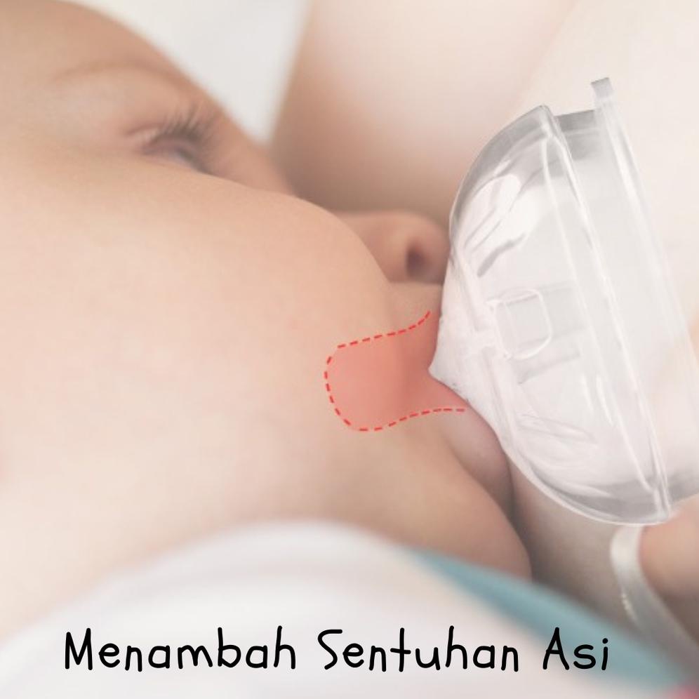 Update Botol Susu Bbet Anak Lucu / 160Ml & 300Ml / Super Wide Neck / Botol Susu Leher Lebar  Bbet Su