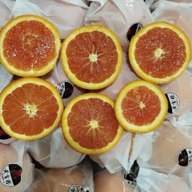 

Terbaru Sunkist Cara Cara 1 Kg