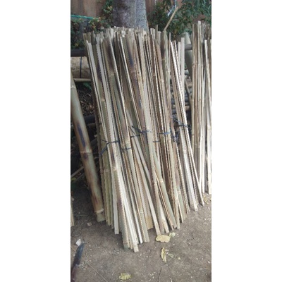 Bambu sisikan / rujian bambu