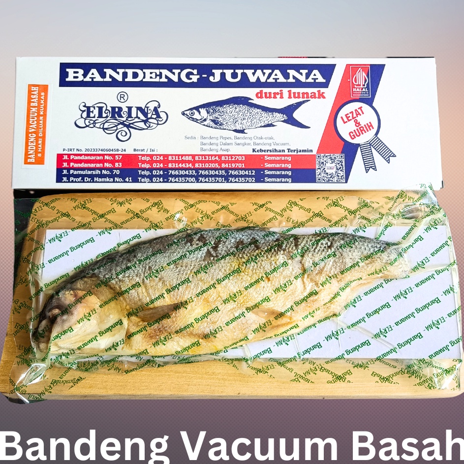 

Stock Banyak Bandeng Presto Juwana Elrina Vacum Basah Ikan Bandeng Juwana Kirim Langsung