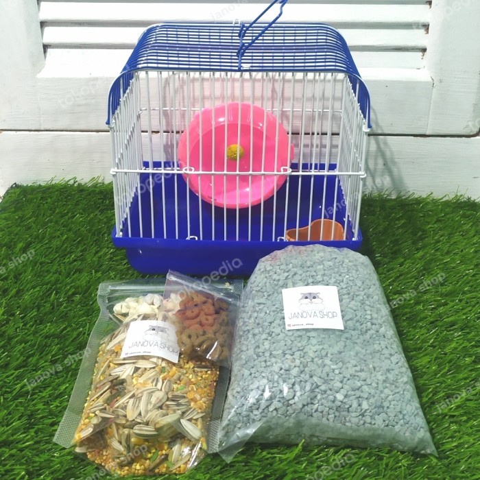 paket kandang + hamster winter white jinak