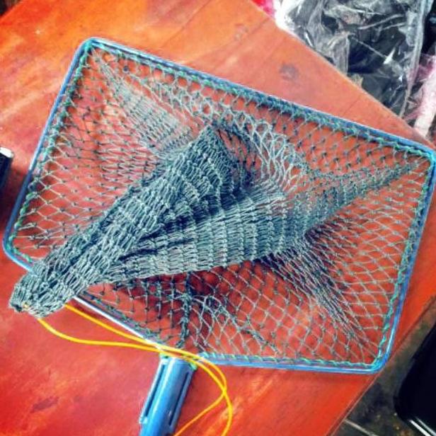 7.7 Serok Ikan Konsumsi Brojol Bahan Kuat/ Jaring Ikan / Siruk Ikan Lele