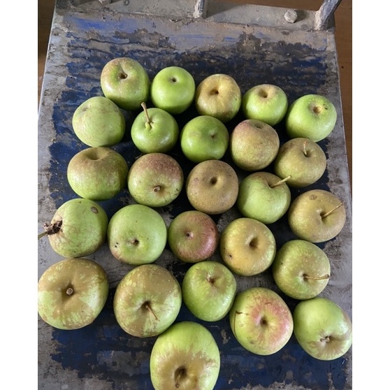 QNNG3971 [PROMO MURAH] apel malang mini manalagi (apel cherry) 1 kg isi 18-20 biji(cocok untuk jus atau salad buah)