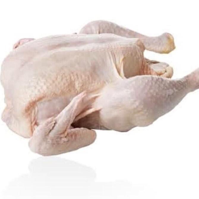 

New Ayam Kampung Perekor